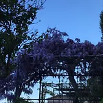 Cielomare Villa Camogli