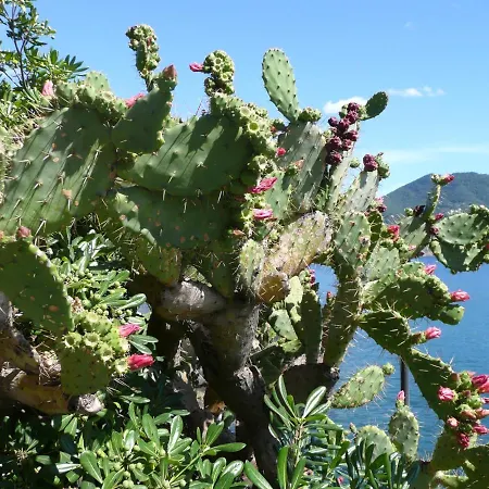 Cielomare