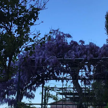 Cielomare וילה קמוגלי