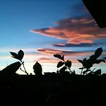 Cielomare *
