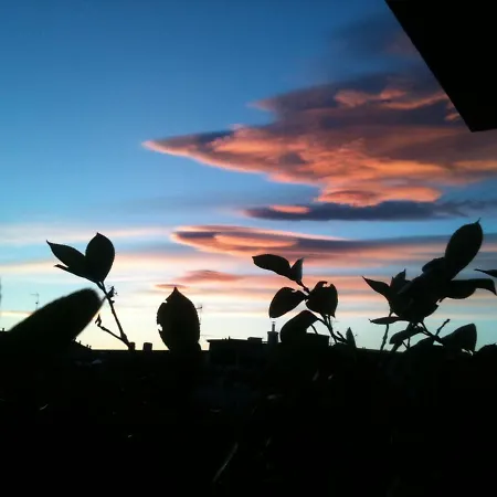 Cielomare *