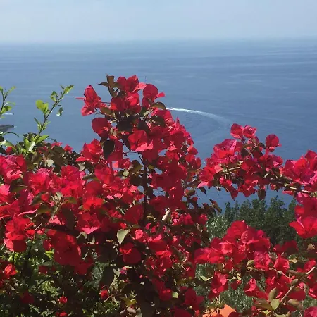 Villa Cielomare Camogli