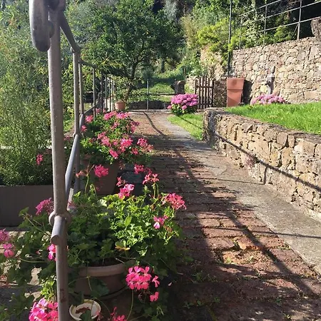 Villa Cielomare