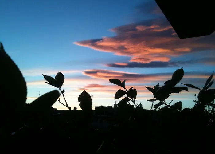 Cielomare *