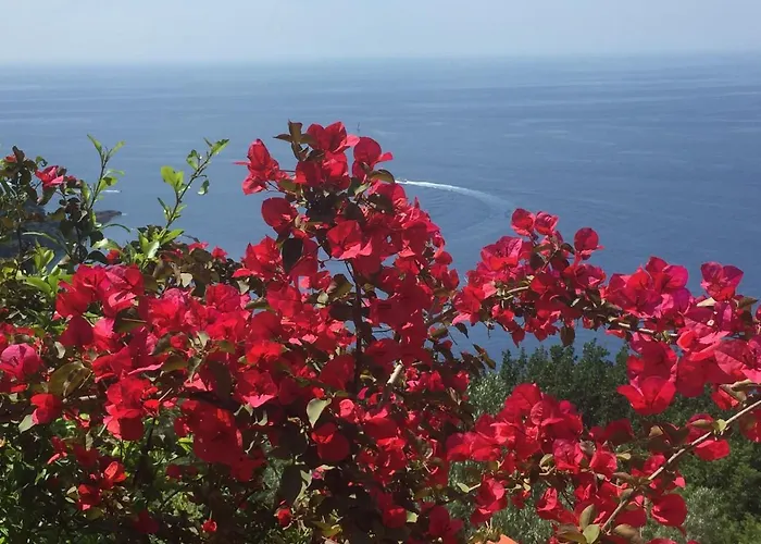 Villa Cielomare Camogli