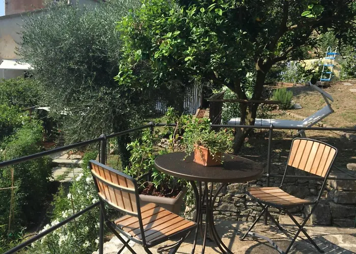 Cielomare * Камольи